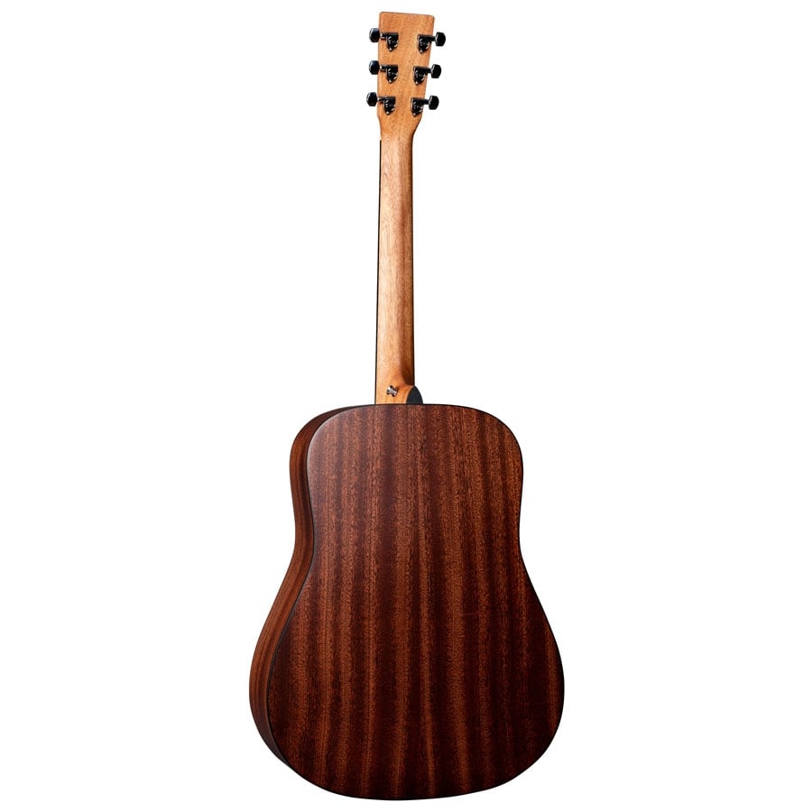Martin D-10E Road Series