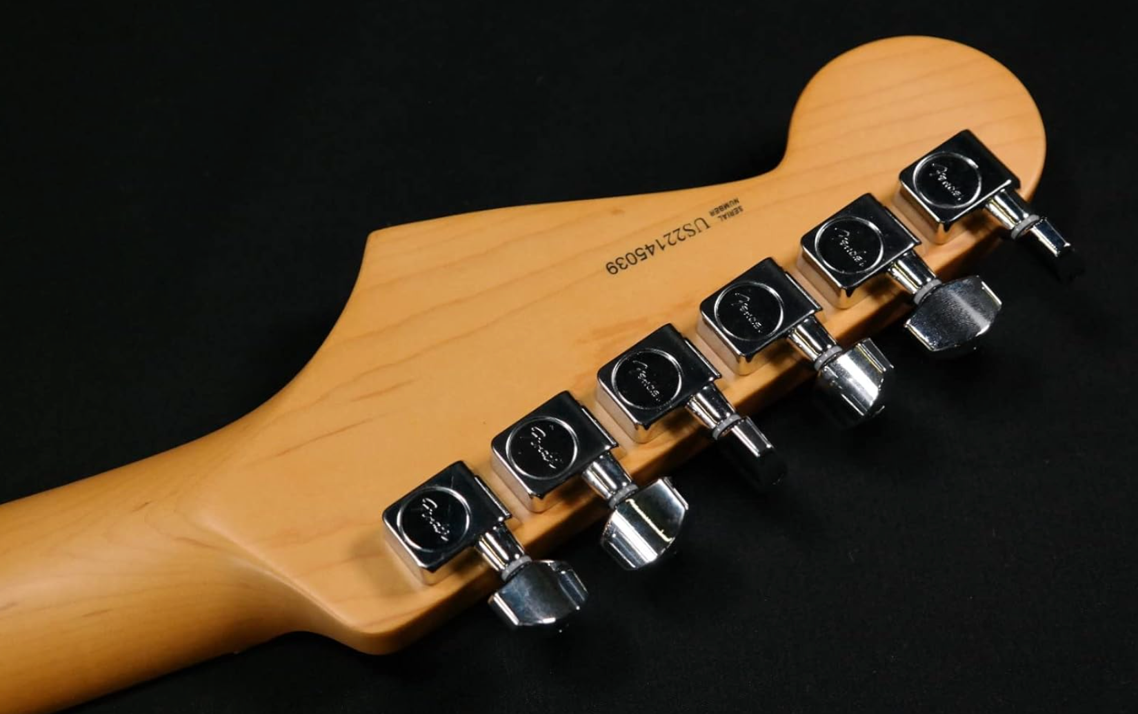 Fender 0113902763 AM Pro II Strat Maple Roasted Pine Electric Guitar