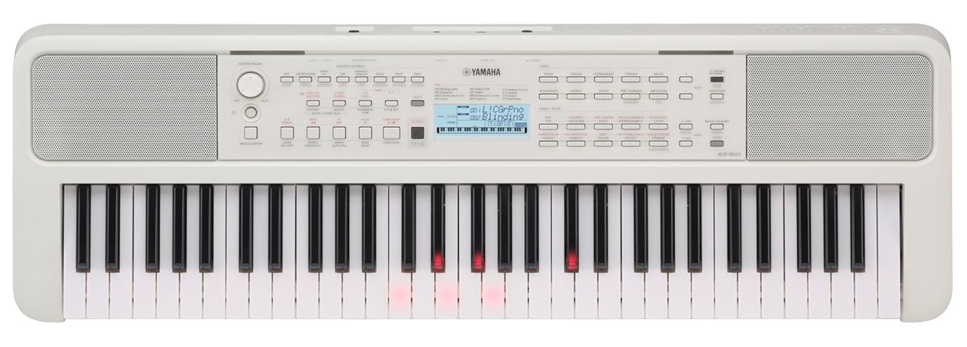 EZ310