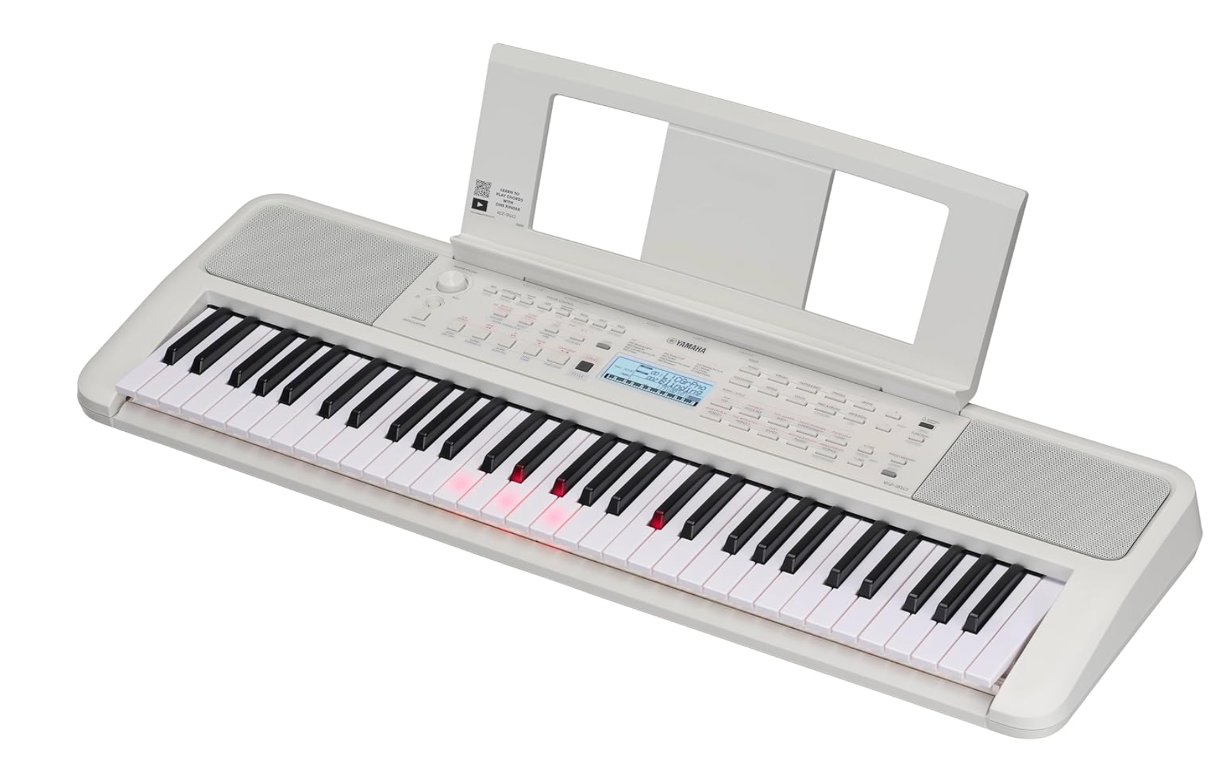 EZ310