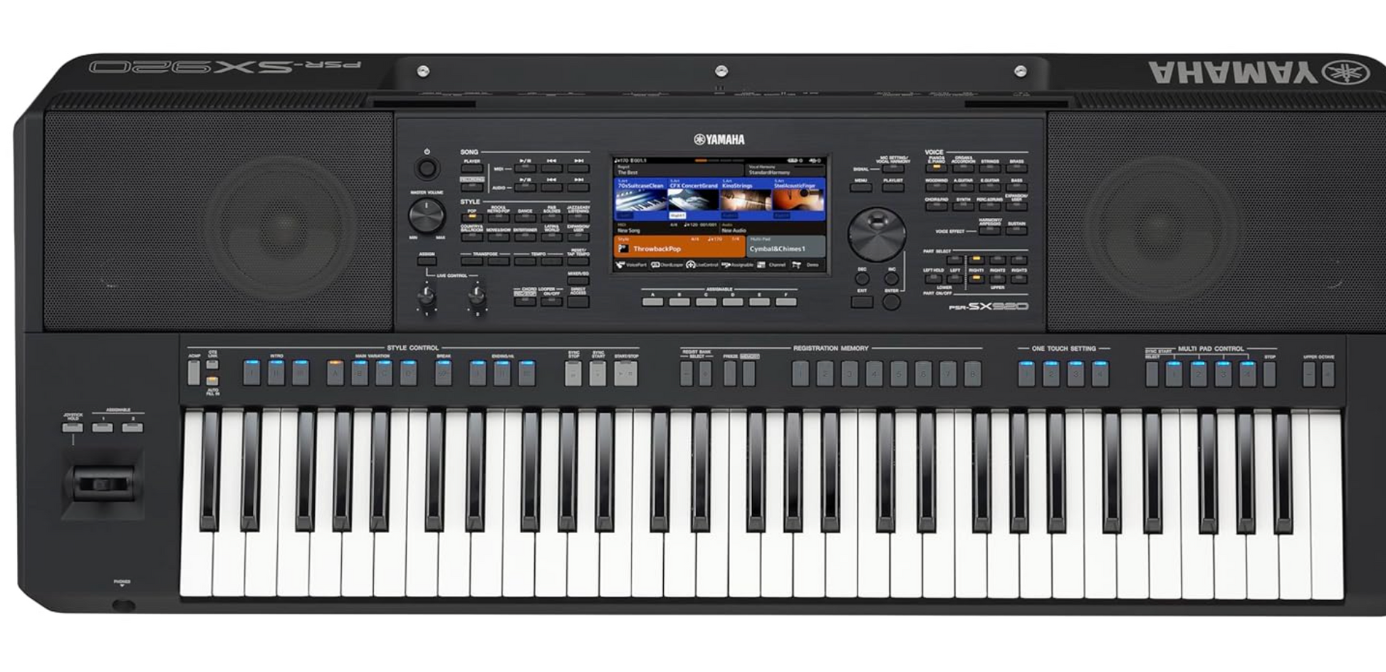 PSRSX920