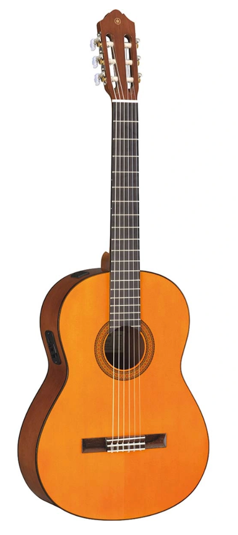 Yamaha Guitar CGX102 (Acoustic Guitar)
