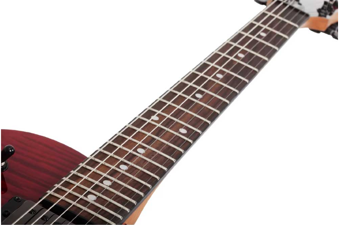 SOLO-II STANDARD BLOODBURST