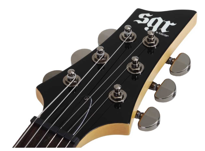 S-1 SGR by Schecter