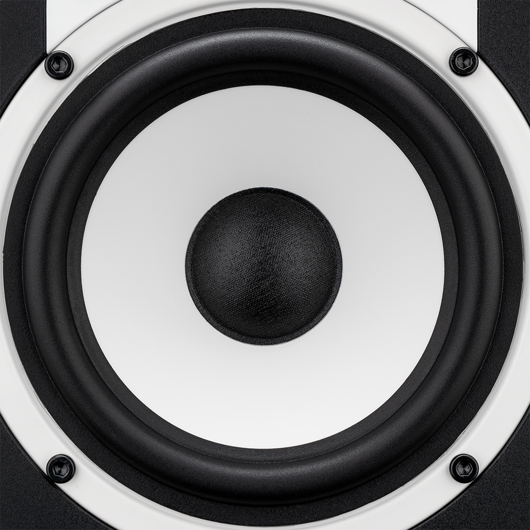 Fluid Audio C5 (Paire)